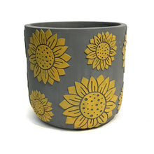 Load image into Gallery viewer, Pot, 6in, Cement Embossed Floral
