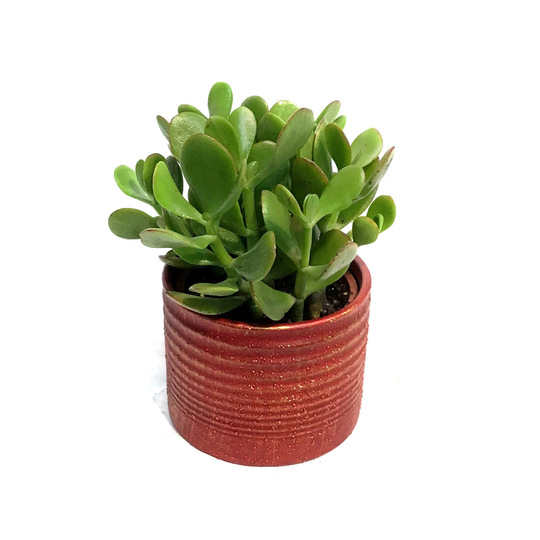 Jade, 4in, Good Luck Ceramic
