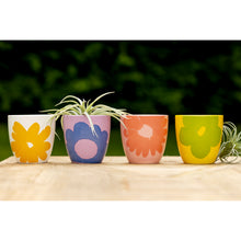 Load image into Gallery viewer, Pot, 5in, Ceramic, Dolomite, Flowers
