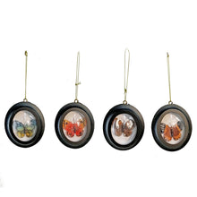 Load image into Gallery viewer, Ornament, Framed Butterfly
