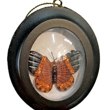 Load image into Gallery viewer, Ornament, Framed Butterfly
