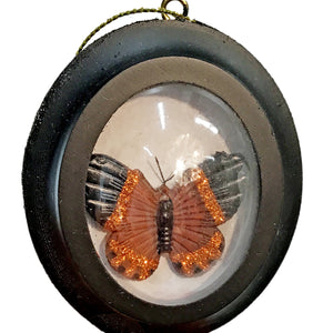 Ornament, Framed Butterfly