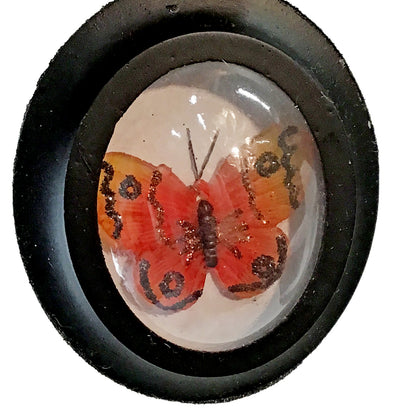 Ornament, Framed Butterfly
