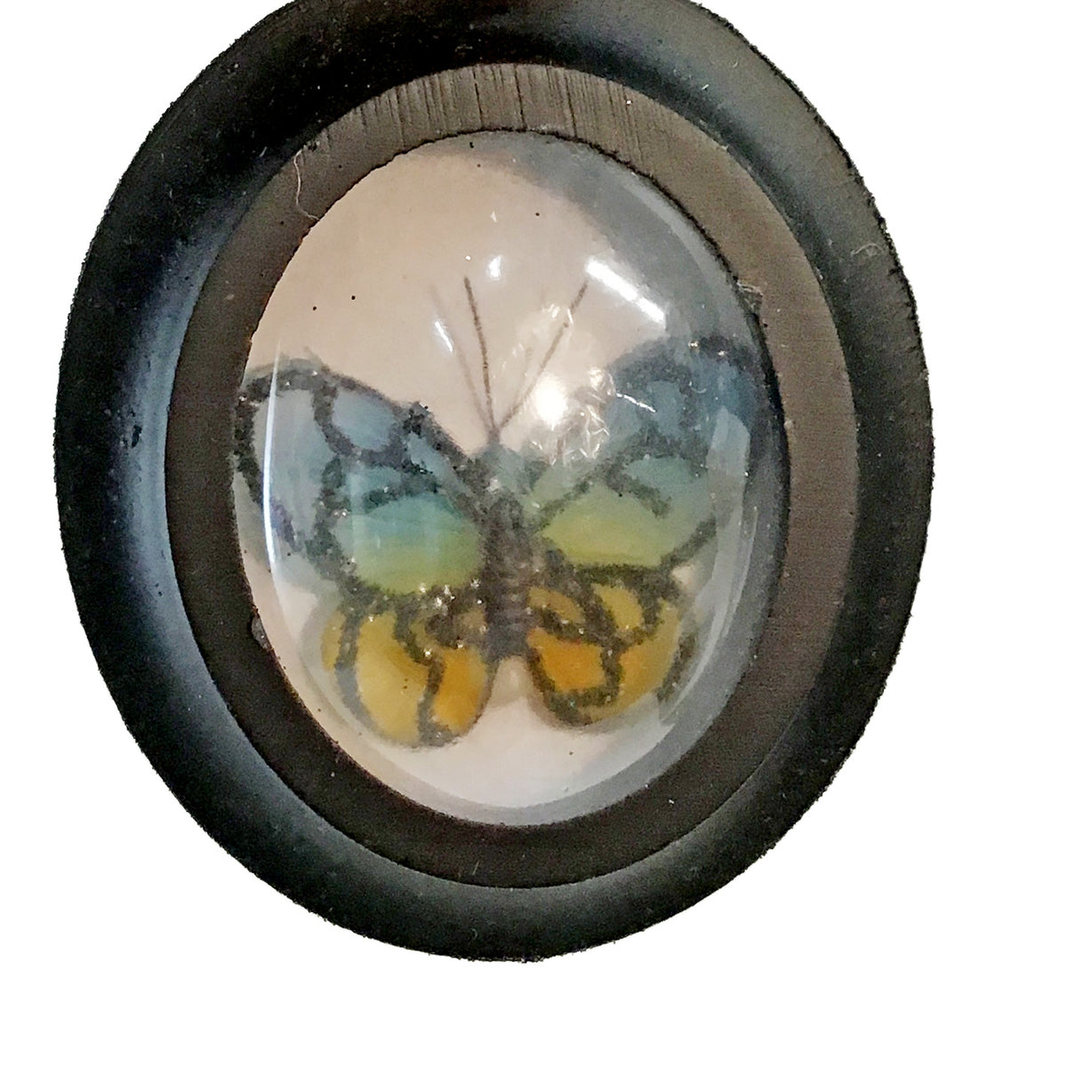 Ornament, Framed Butterfly