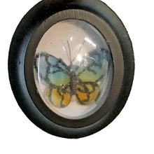 Load image into Gallery viewer, Ornament, Framed Butterfly
