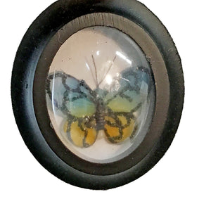Ornament, Framed Butterfly