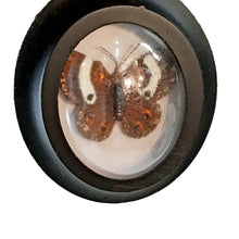 Load image into Gallery viewer, Ornament, Framed Butterfly
