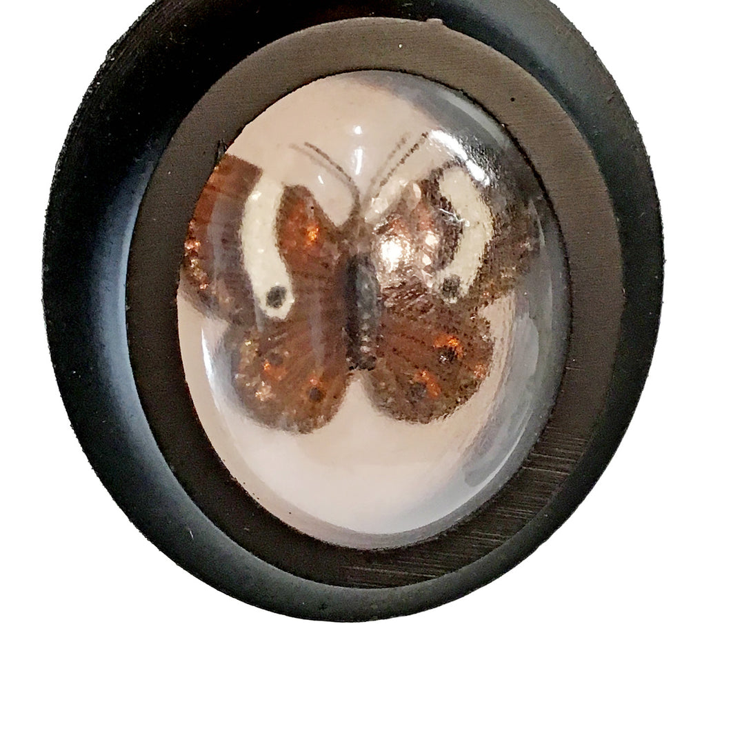 Ornament, Framed Butterfly