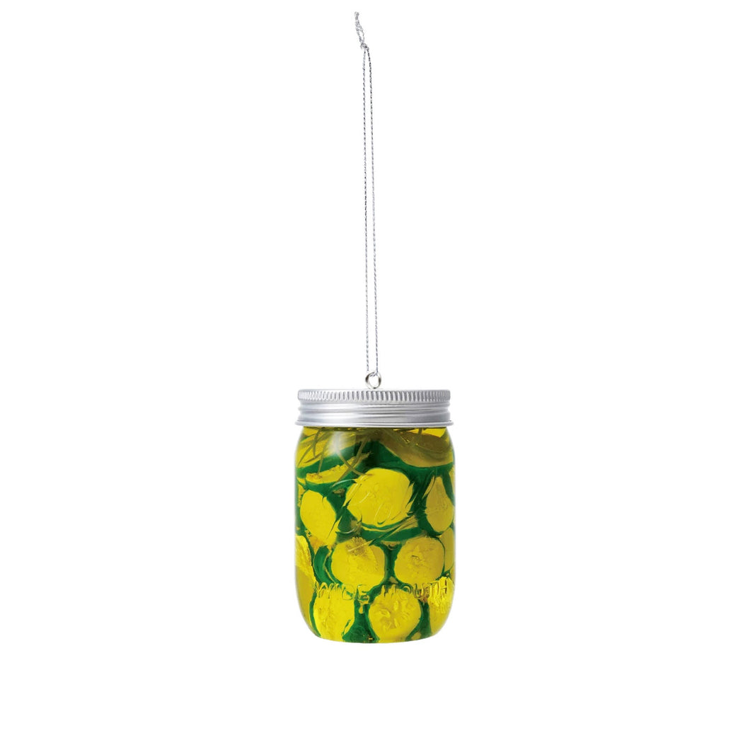 Ornament, Pickle Jar