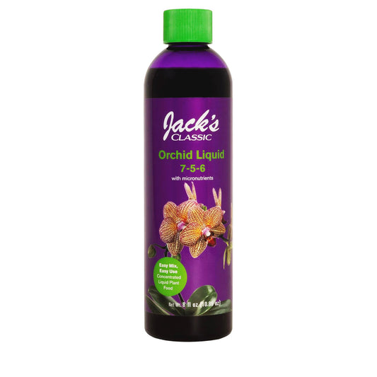 Jacks Classic, Classic Orchid