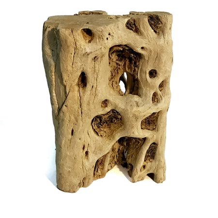 Tillandsia Cholla Wood Holder, Large