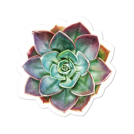 Printed Paper Napkin, 20 count, Succulent Shaped