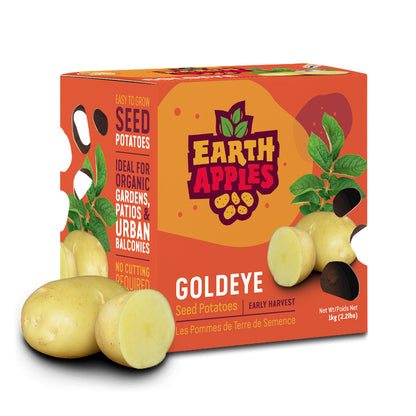 Seed Potato - Goldeye, Earth Apples, 1kg Box
