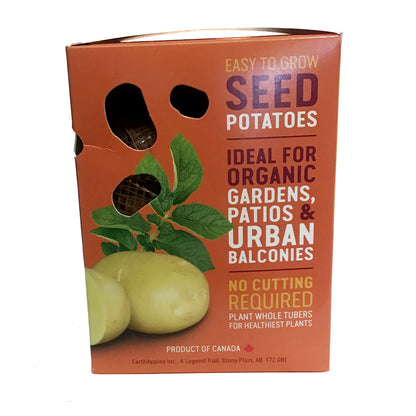 Seed Potato - Goldeye, Earth Apples, 1kg Box