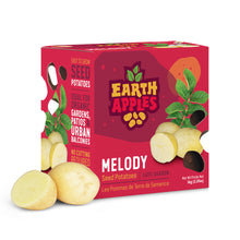Load image into Gallery viewer, Seed Potato - Melody, Earth Apples, 1kg Box

