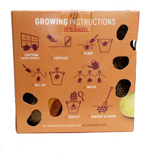 Load image into Gallery viewer, Seed Potato - Melody, Earth Apples, 1kg Box
