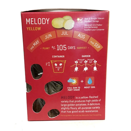 Seed Potato - Melody, Earth Apples, 1kg Box