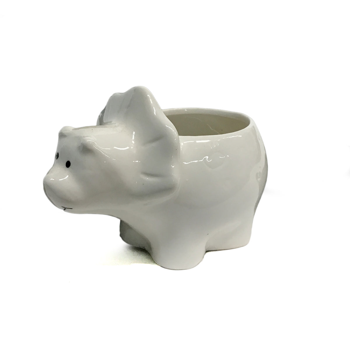 Planter, 2in, Triceratops