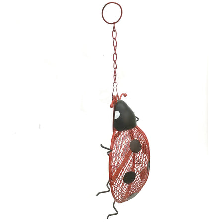 Birdfeeder, Mesh, Lady Bug