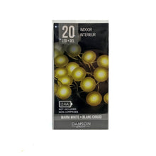 Load image into Gallery viewer, String Lights, Starry LED, Fruit, Ast
