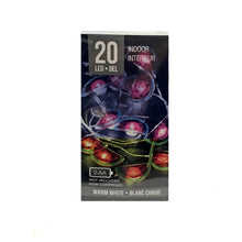 Load image into Gallery viewer, String Lights, Starry LED, Fruit, Ast
