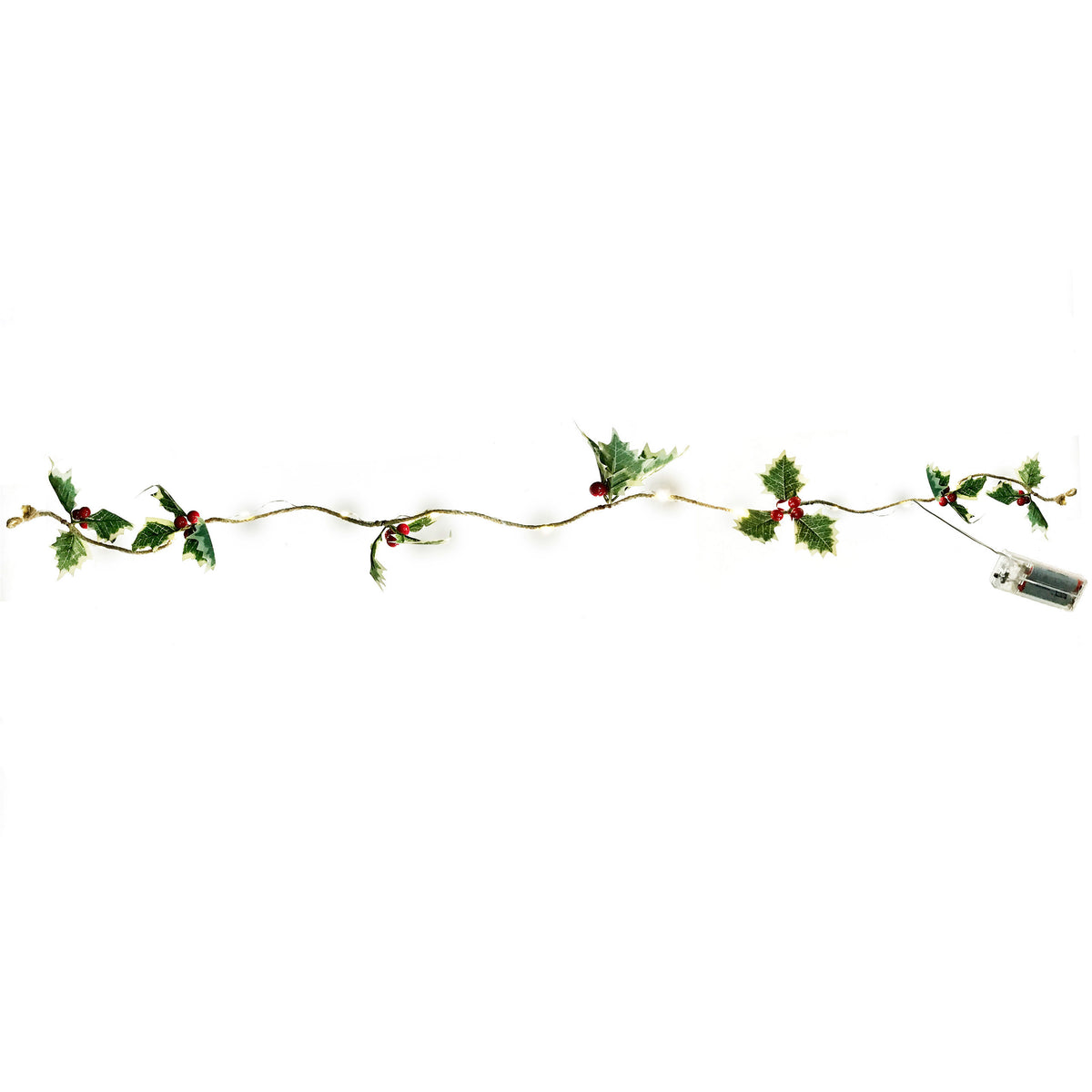 String Lights, Holly