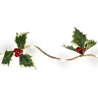 String Lights, Holly