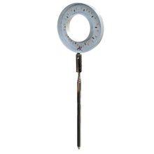 Load image into Gallery viewer, Grow Light, Adjustable, White W/ Purple Light
