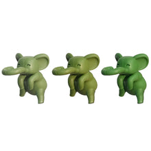 Load image into Gallery viewer, Propagation Buddie, Light Green, Assorted
