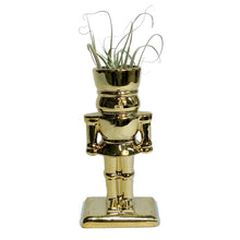 Load image into Gallery viewer, Tillandsia With Nutcracker Pot
