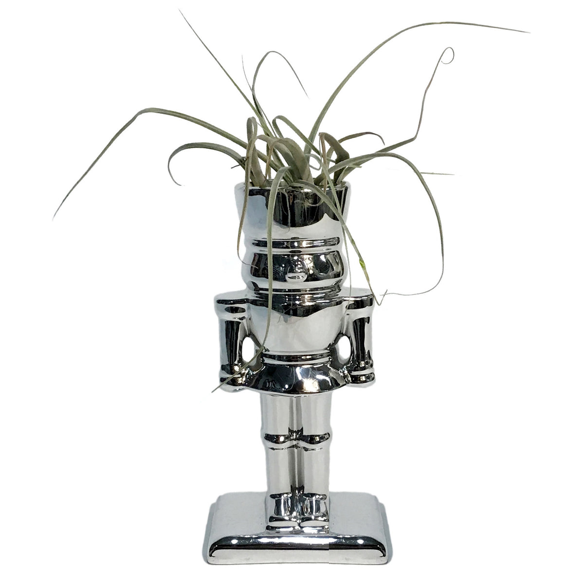 Tillandsia With Nutcracker Pot