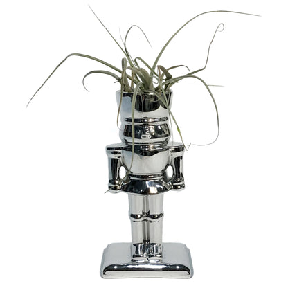 Tillandsia With Nutcracker Pot