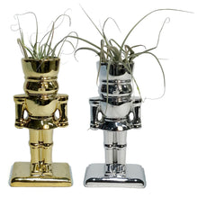 Load image into Gallery viewer, Tillandsia With Nutcracker Pot
