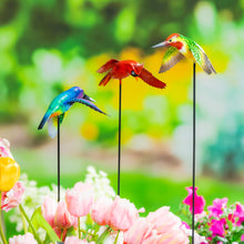 Load image into Gallery viewer, Bird Garden Stake, 3 Asst. Styles
