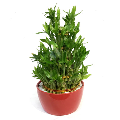 Bamboo Planter, Lucky Pagoda, 5-Tier