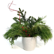Load image into Gallery viewer, Christmas Planter, White Pot, Red Pot with Snowfla
