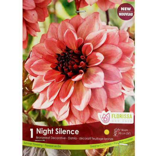 Dahlia, - Night Silence Bulbs 1pk