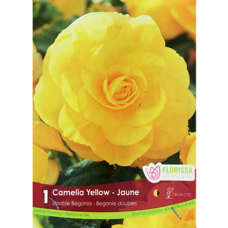 Begonia - Double Camelia Yellow Bulbs, 1 Pack