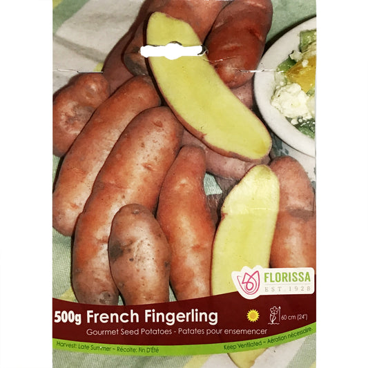 Seed Potato - Gourmet French Fingerlings, 500g Bag