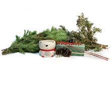 Load image into Gallery viewer, Make Your Own Tabletop Winter Planter - 12/10/25
