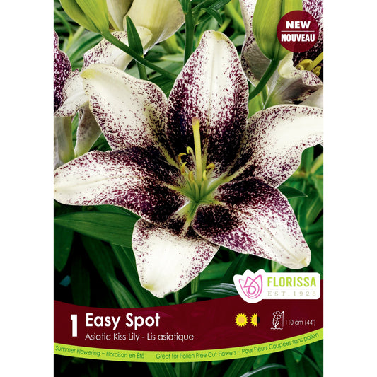 Lily, Asiatic - Kiss Easy Spot Bulbs, 1 Pack
