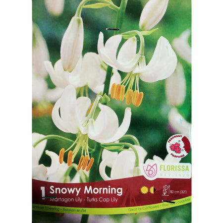 Lily, Martagon - Snowy Morning Bulb, 1 Pack
