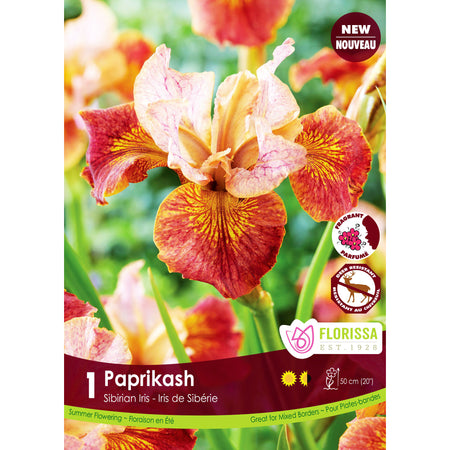 Iris, Siberian - Paprikash Bulb, 1 Pack