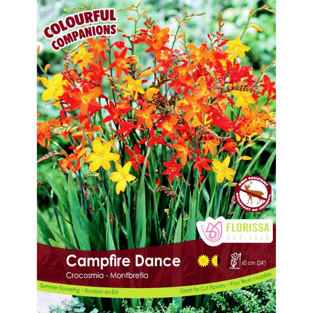 Colourful Companions - Campfire Dance, 20pk