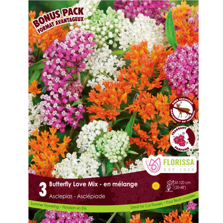 Asclepias - Butterfly Love Mix, 3 Pack