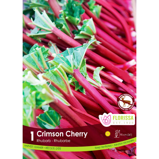 Rhubarb - Crimson Cherry, 1 Pack