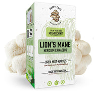 Happy Cap Mushrrom Grow Kit - Lions Mane