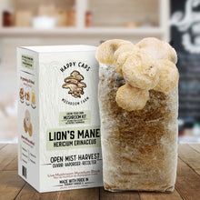 Load image into Gallery viewer, Happy Cap Mushrrom Grow Kit - Lions Mane
