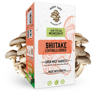 Happy Cap Mushrrom Grow Kit - Shiitake