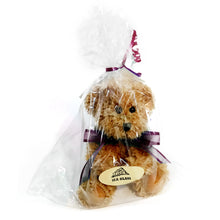 Load image into Gallery viewer, Aroma Sitting Bears, Assorted
